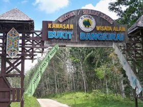 Bukit Bengkirai